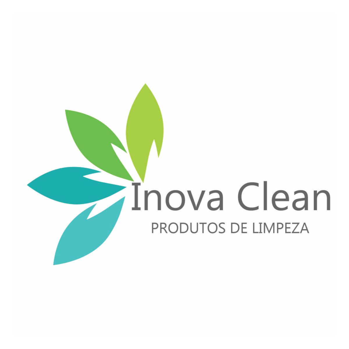 Thais Fernanda Gonçalves Pereira de Castro - Inova Clean